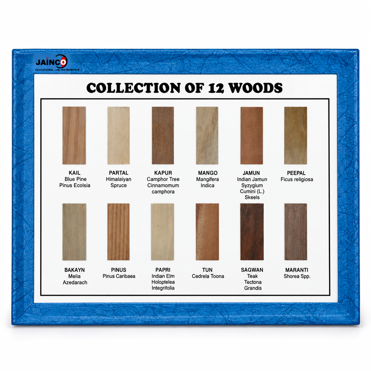 Collection of 12 Woods